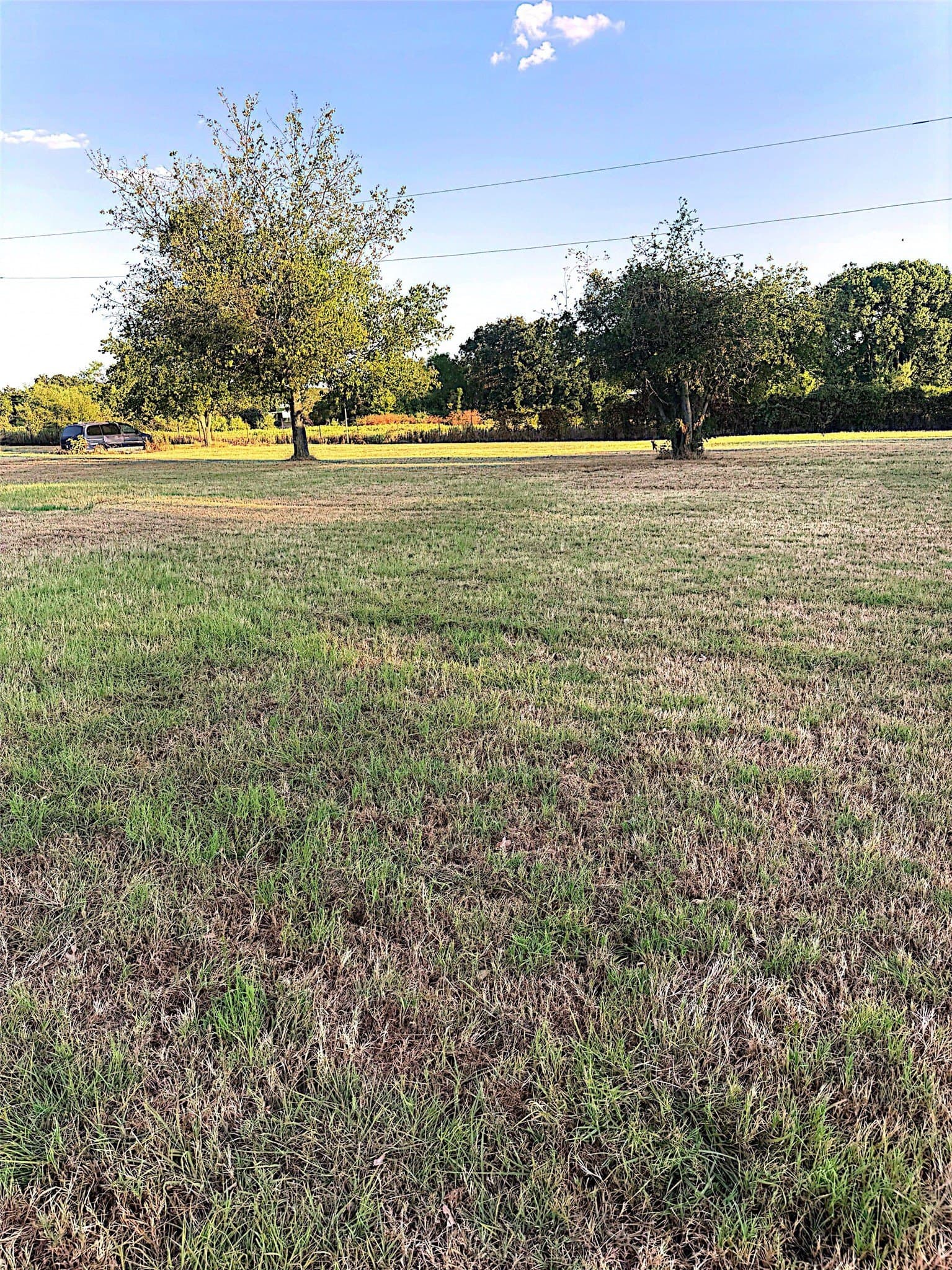 0.5 acres in Parker County - photo 2