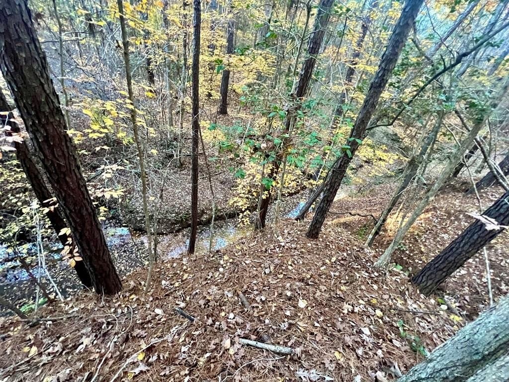 15 acres in Texas County