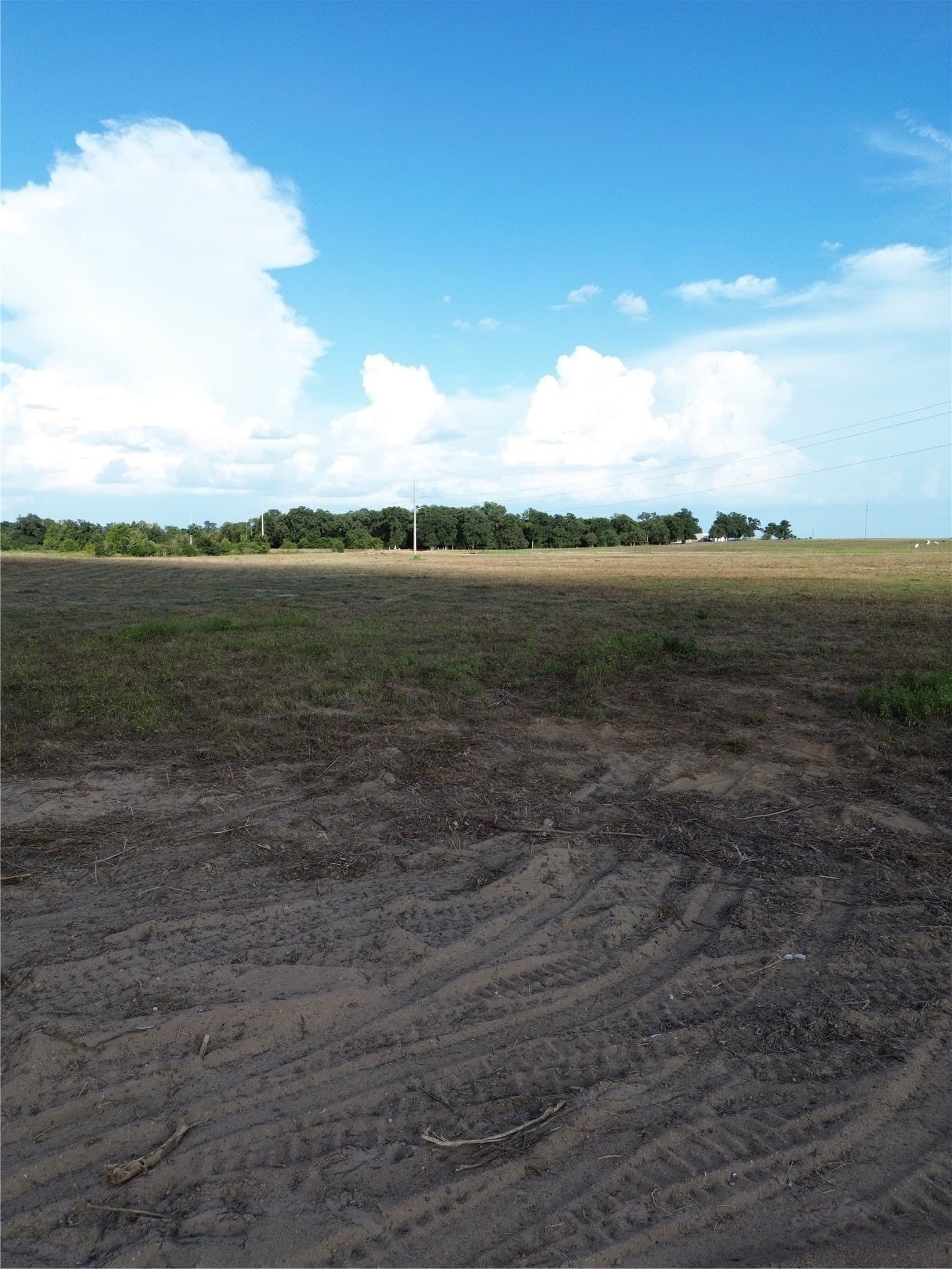 4.48 acres in Robertson County - photo 3