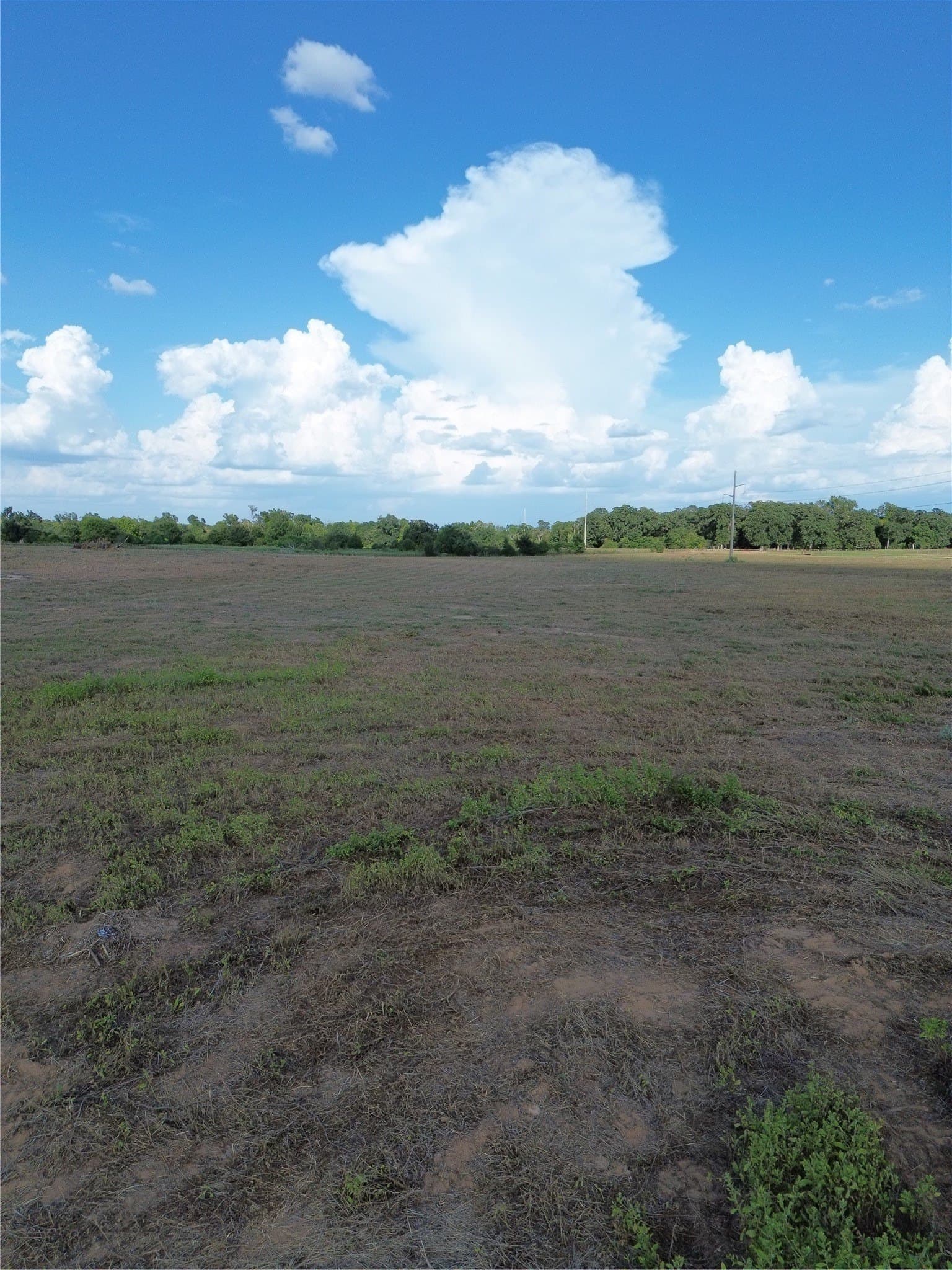 4.48 acres in Robertson County - photo 6
