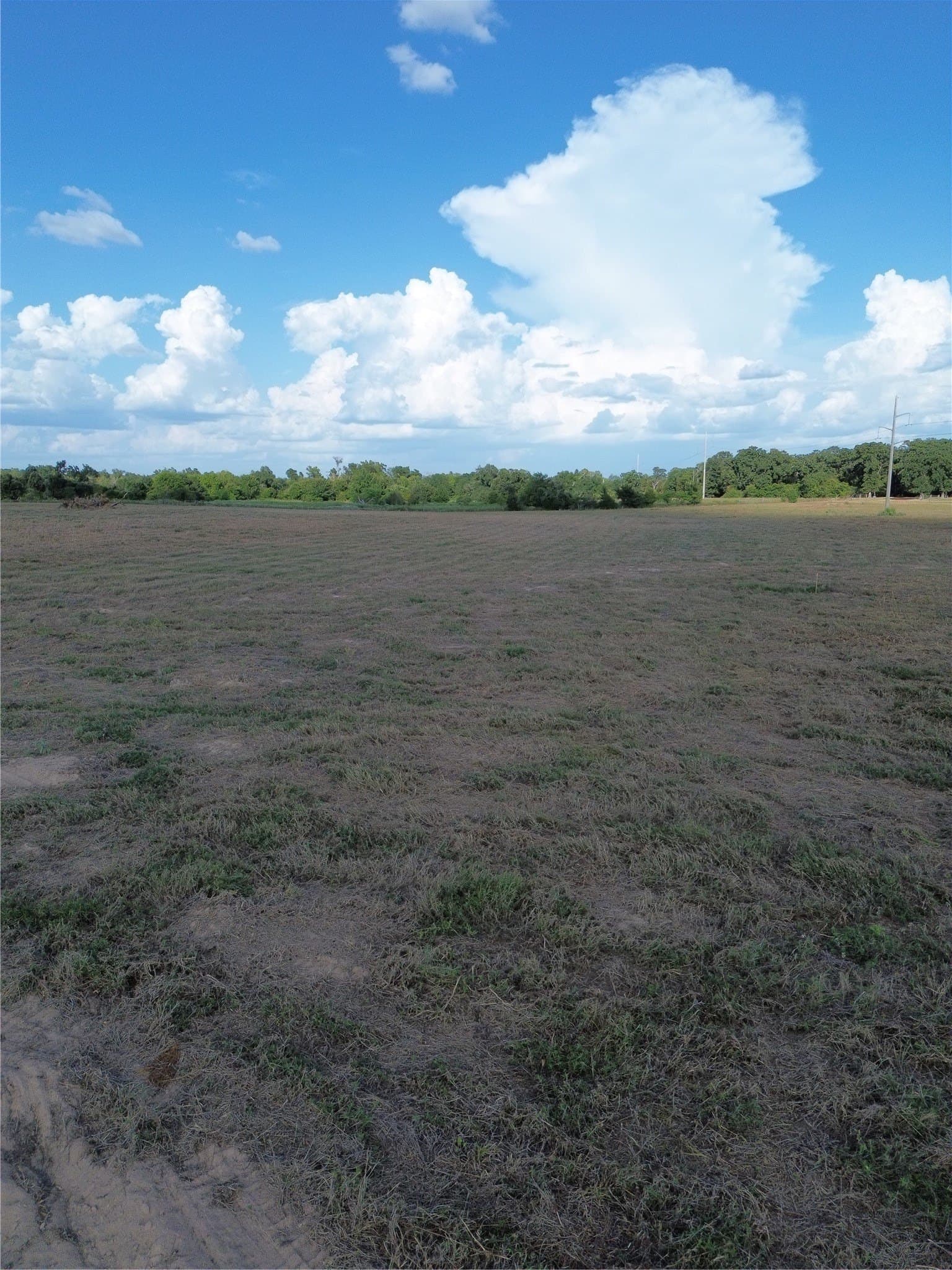 4.48 acres in Robertson County - photo 5
