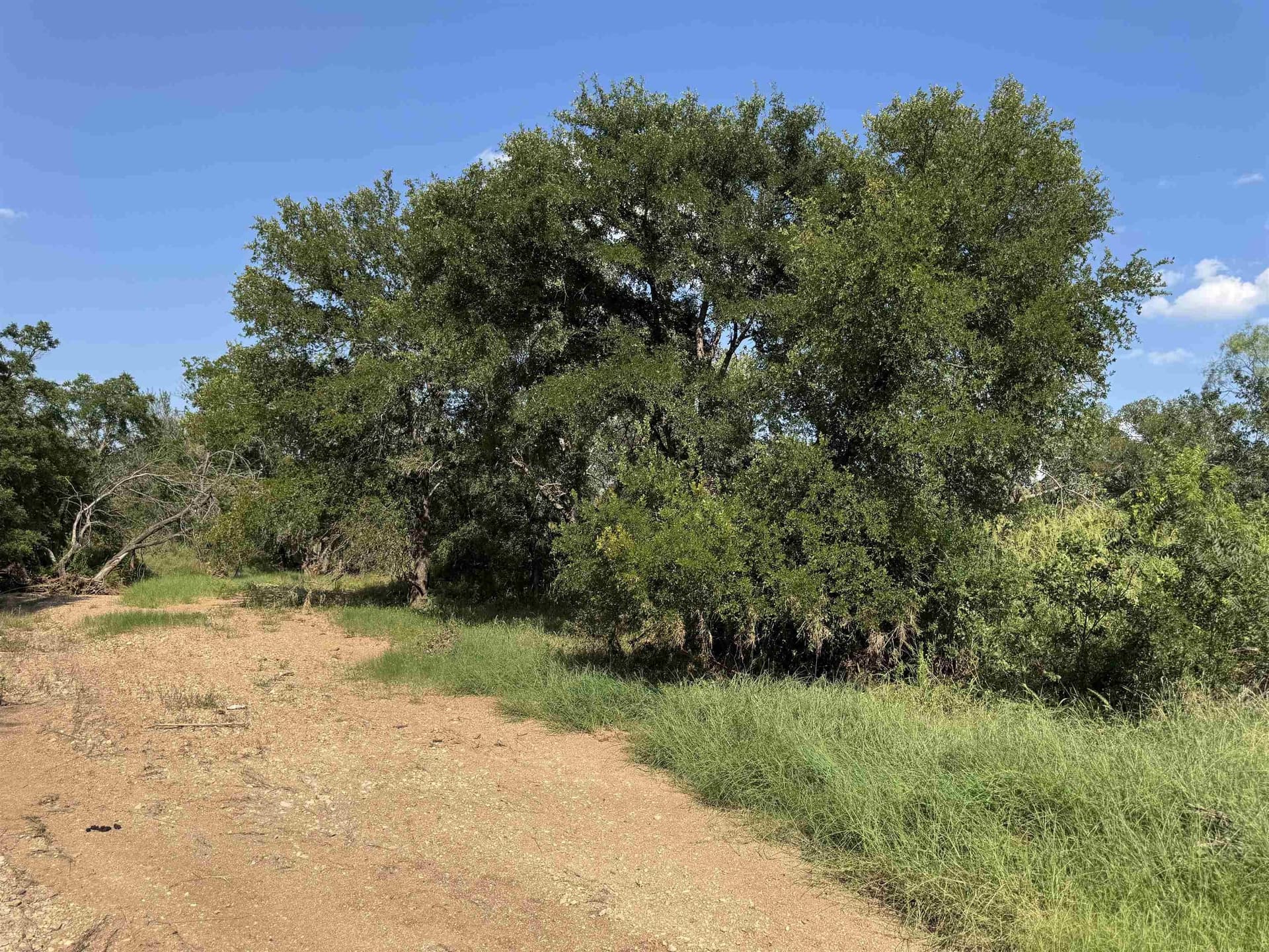 27 acres in Burnet County gallery image 4