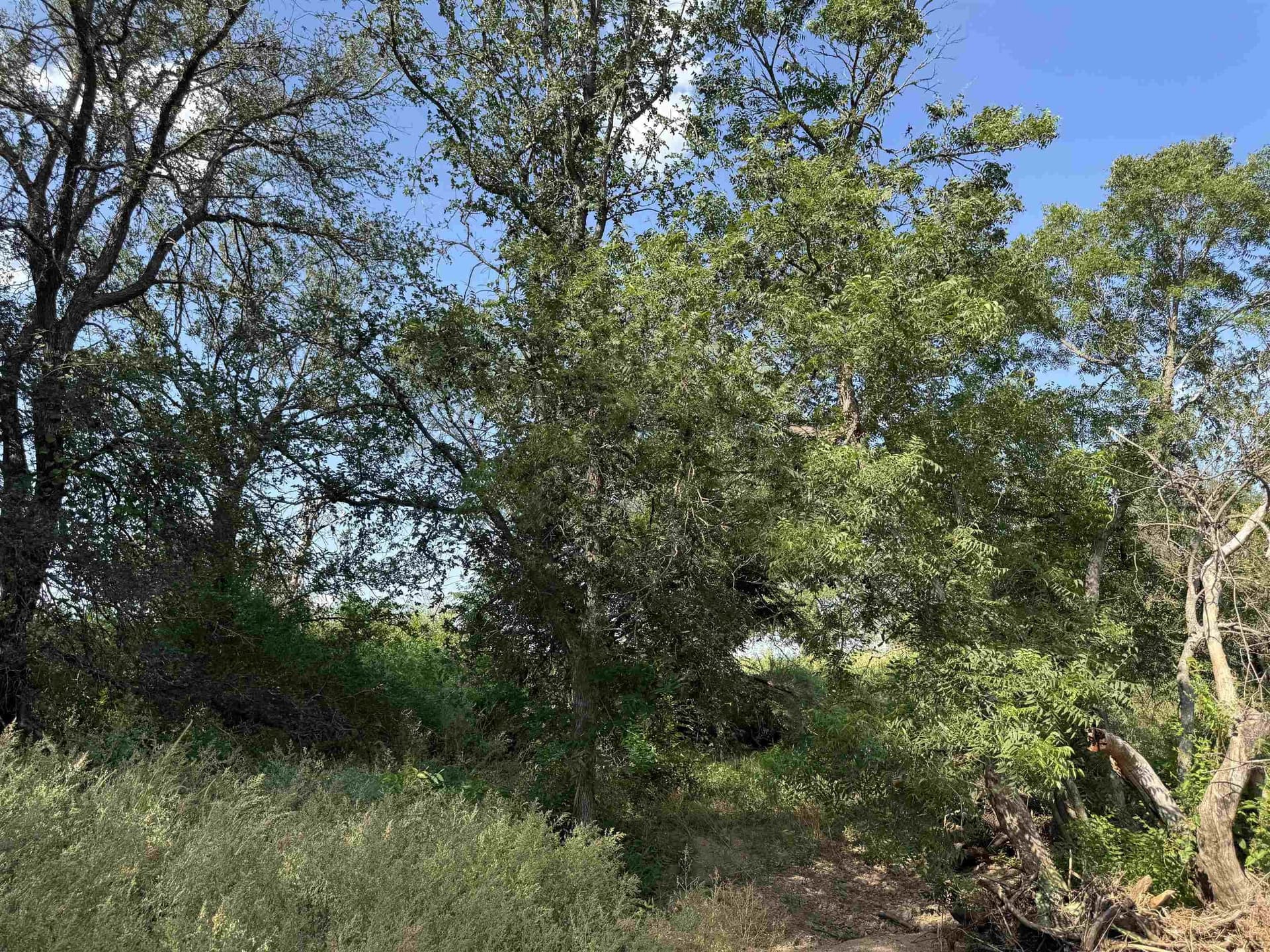 27 acres in Burnet County featured view