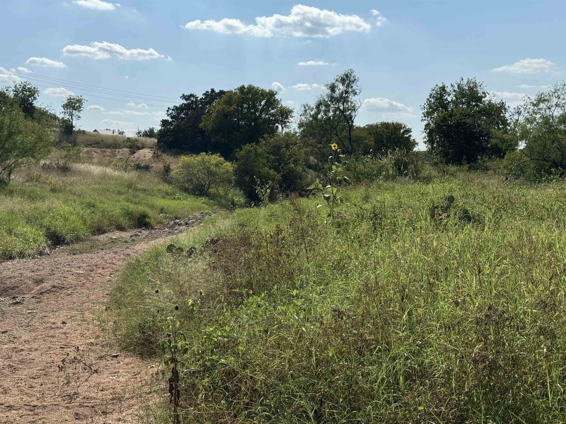 27 acres in Burnet County gallery image 3