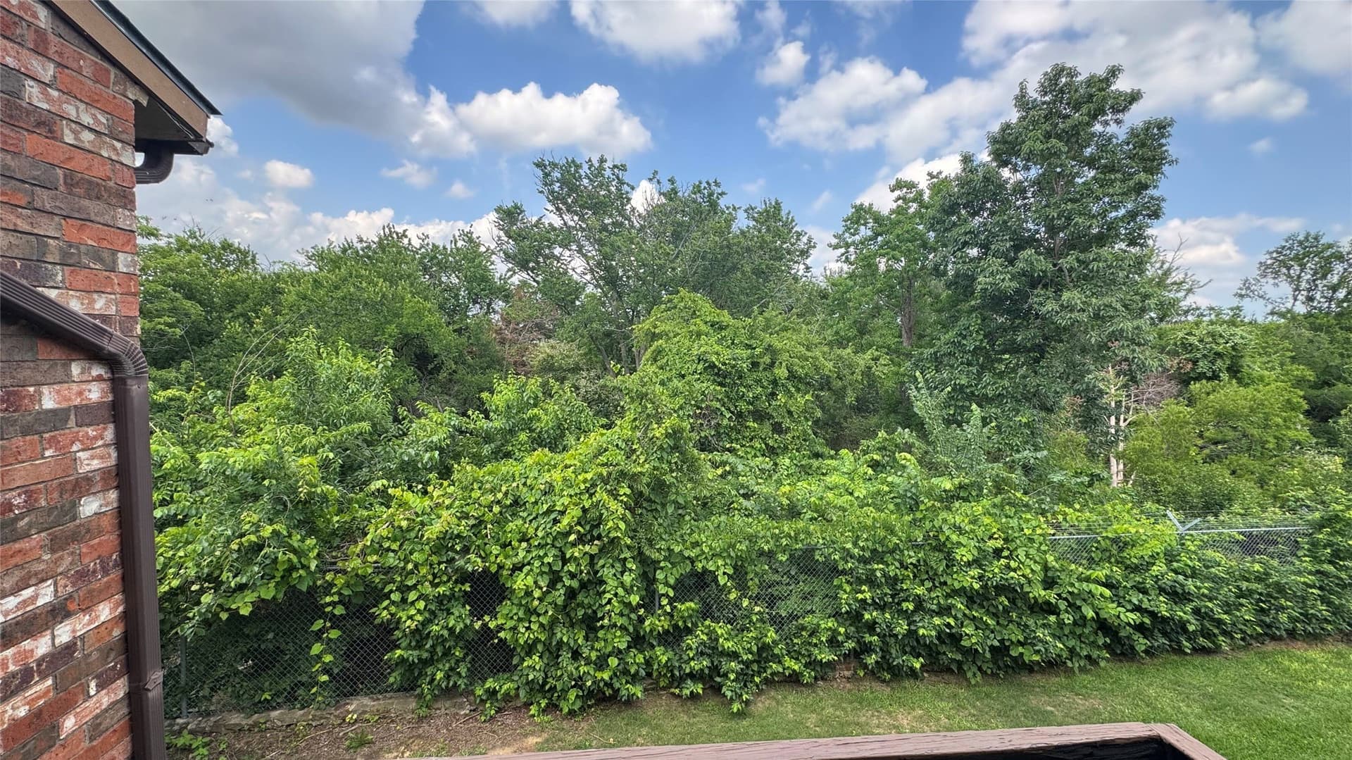 17.99 acres in Dallas County - photo 25