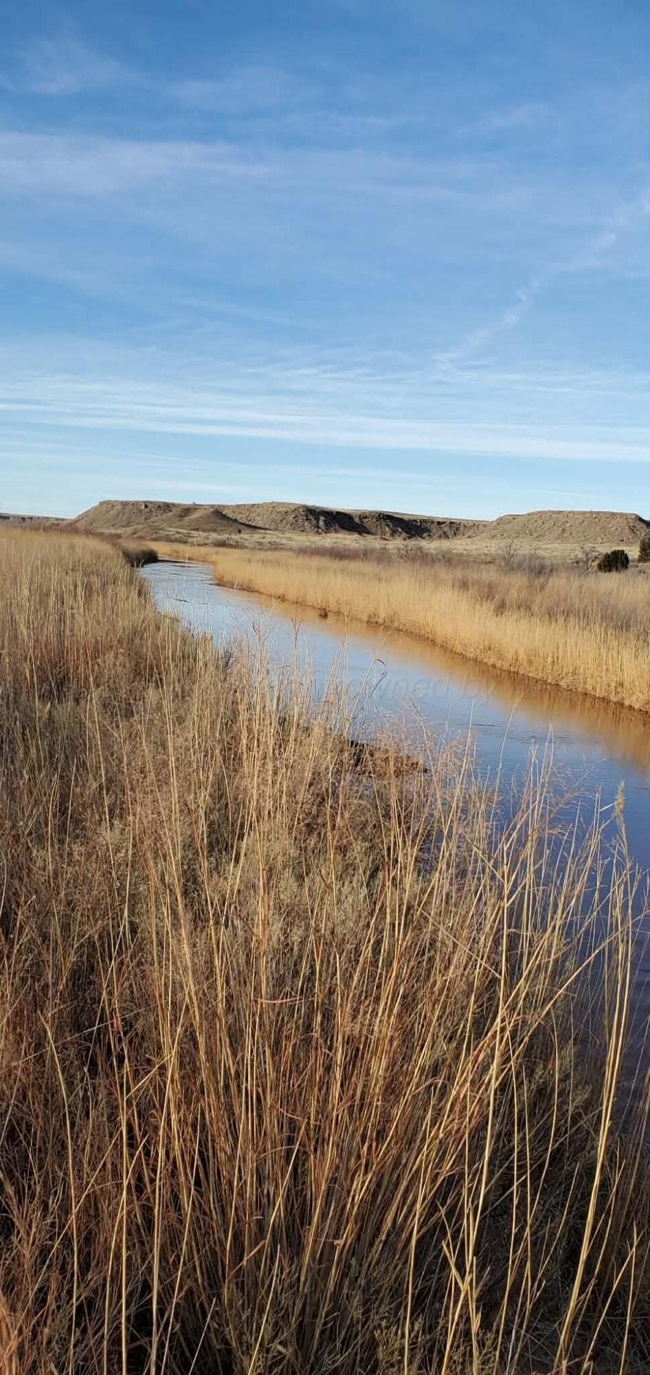14.34 acres in Potter County