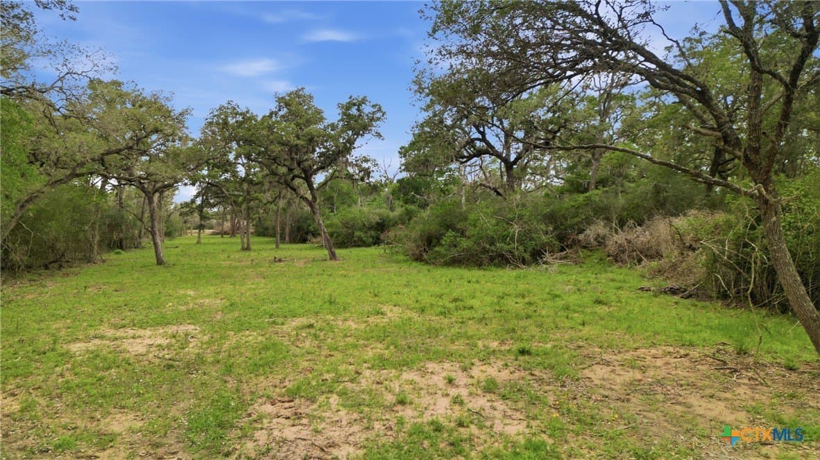 444 acres in Lavaca County gallery image 3