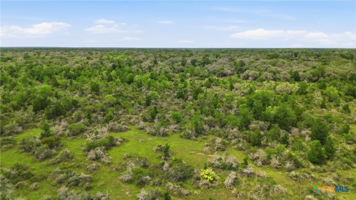 444 acres in Lavaca County - photo 19
