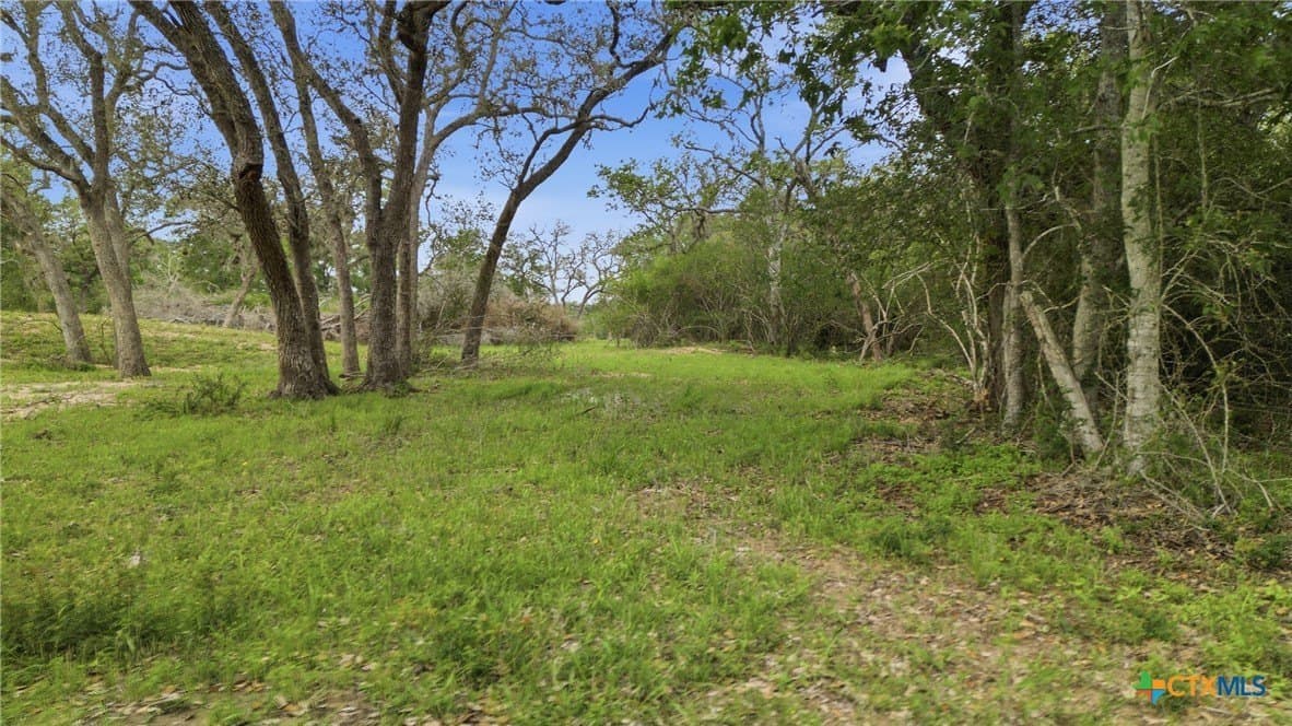444 acres in Lavaca County - photo 12