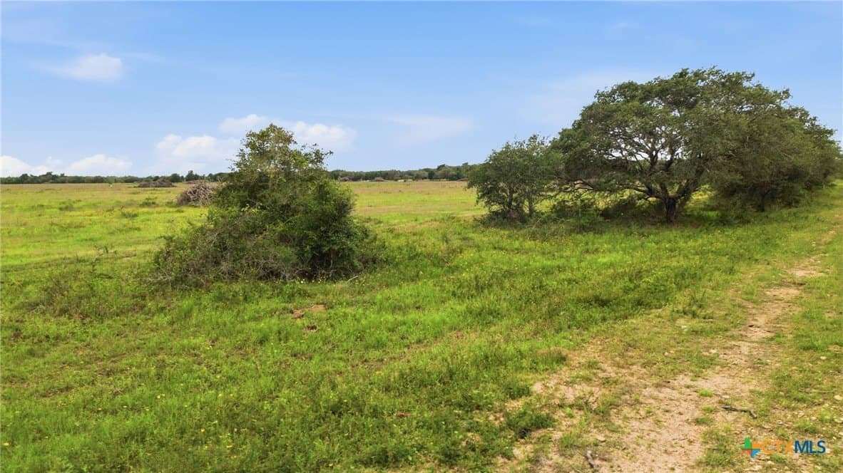 444 acres in Lavaca County - photo 21