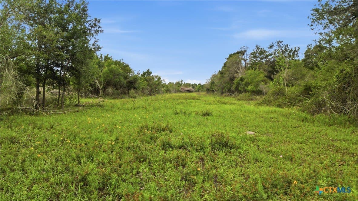 444 acres in Lavaca County - photo 14