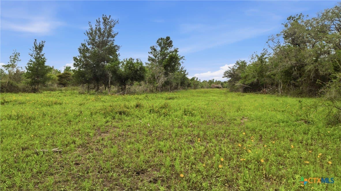 444 acres in Lavaca County - photo 13