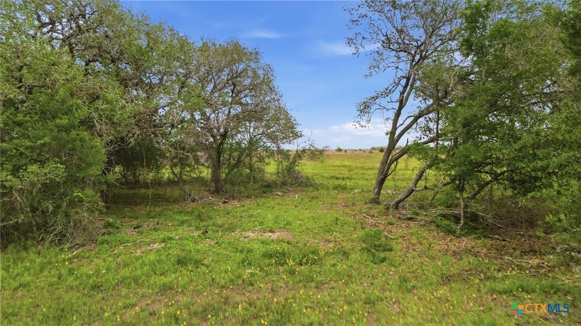 444 acres in Lavaca County - photo 20