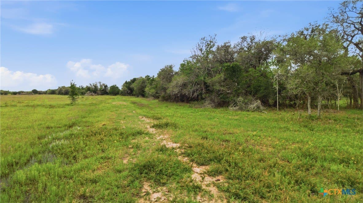 444 acres in Lavaca County - photo 10