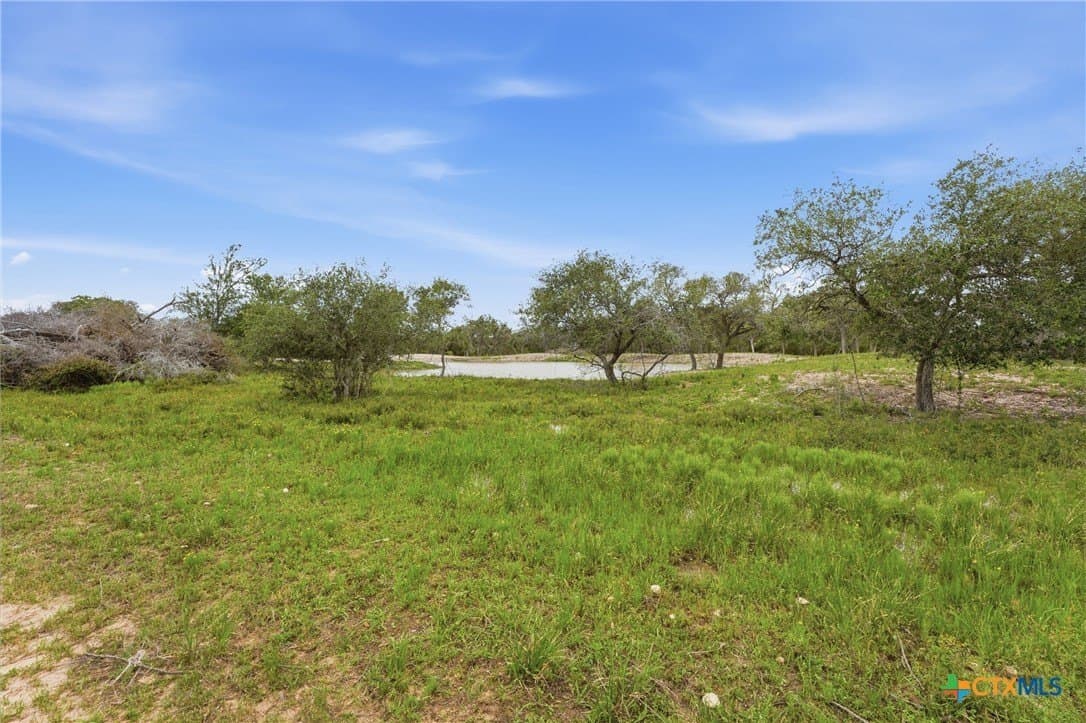 444 acres in Lavaca County - photo 28
