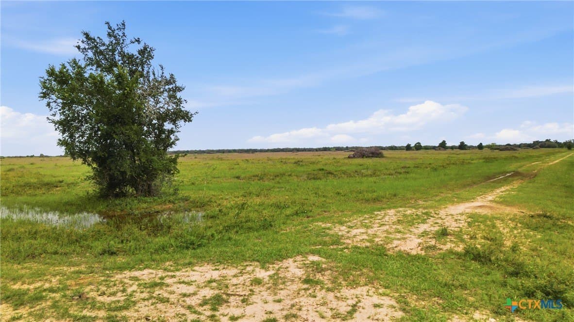 444 acres in Lavaca County - photo 24