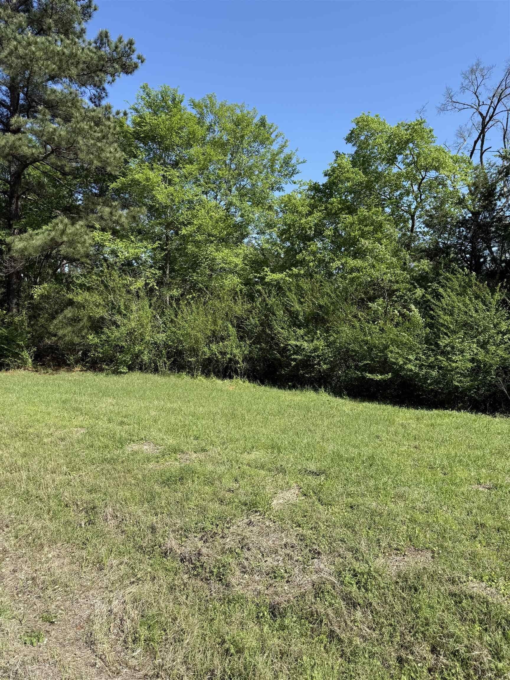 5.5 acres in Rusk County gallery image 2