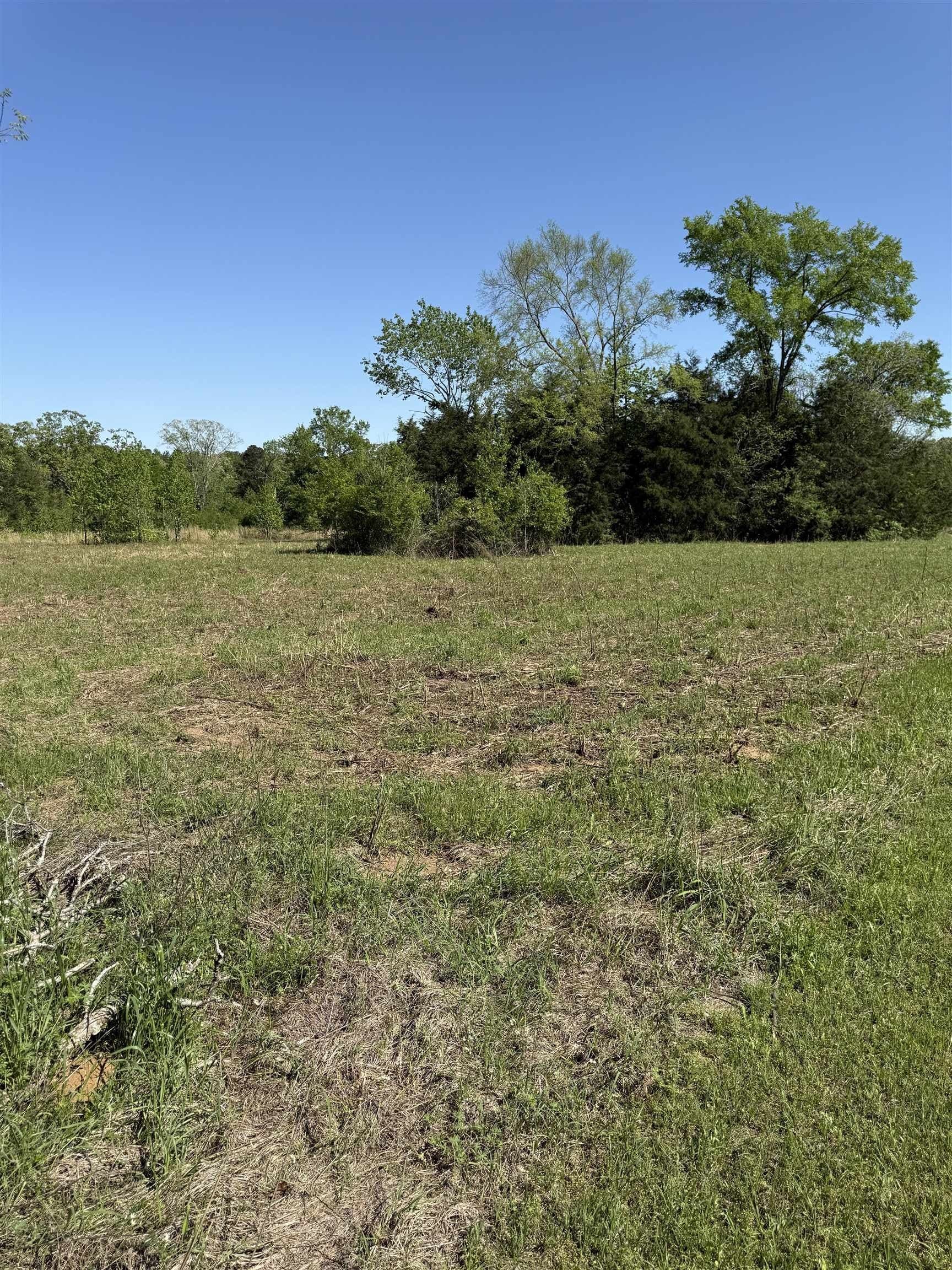 5.5 acres in Rusk County gallery image 3