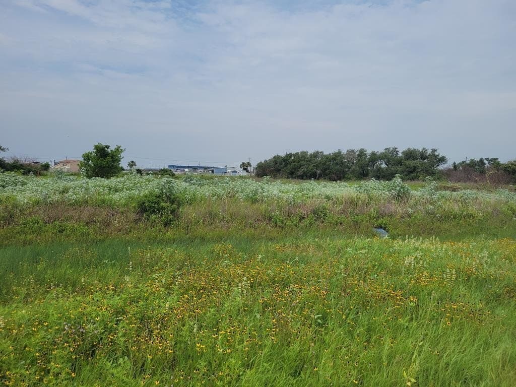 0.16 acres in Texas County - photo 2