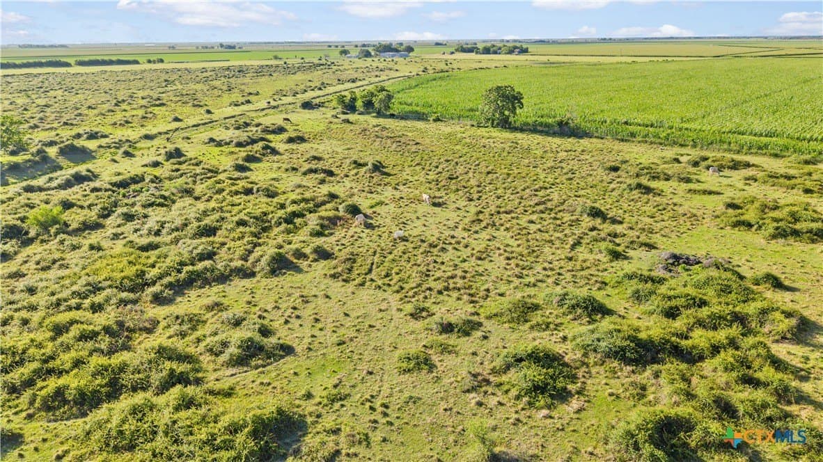 155 acres in Wharton County - photo 9