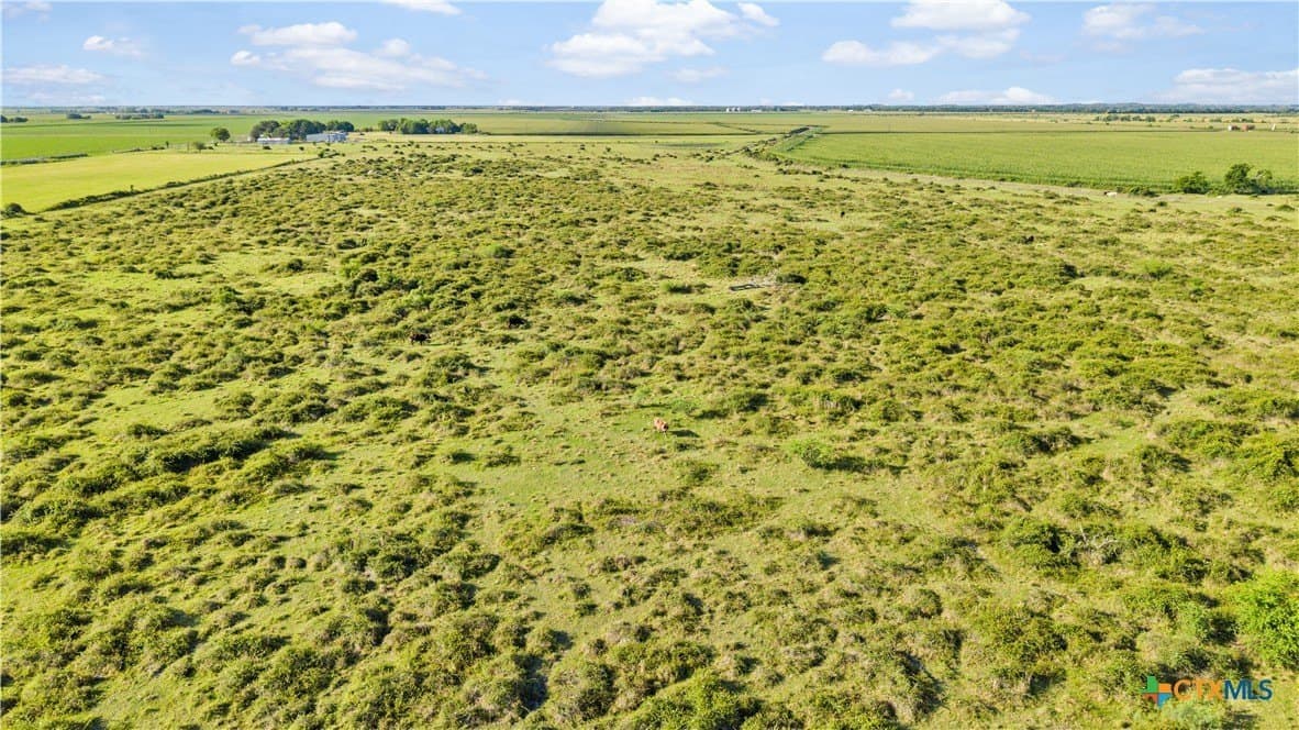 155 acres in Wharton County - photo 13