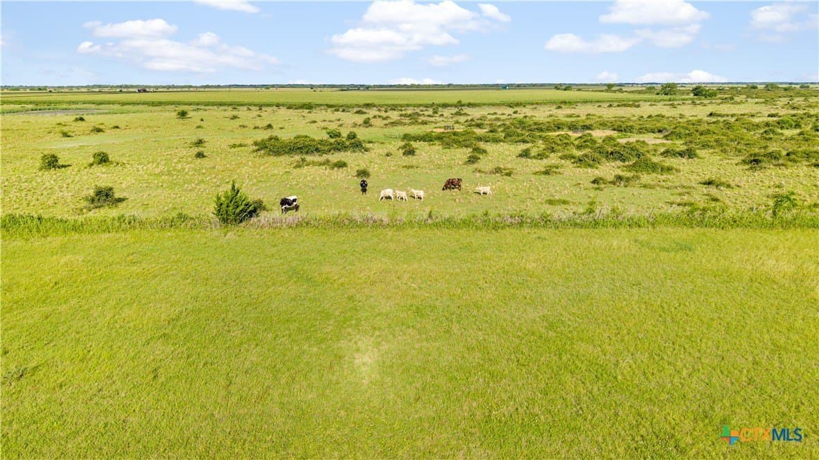 155 acres in Wharton County - photo 5