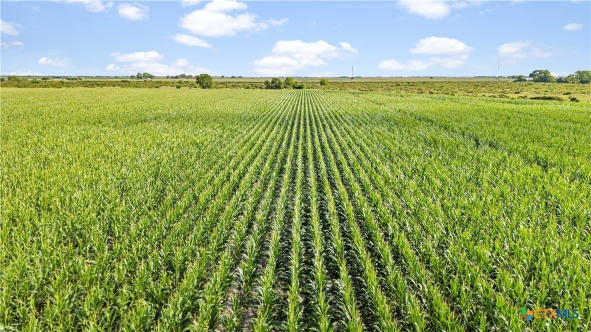 155 acres in Wharton County - photo 2