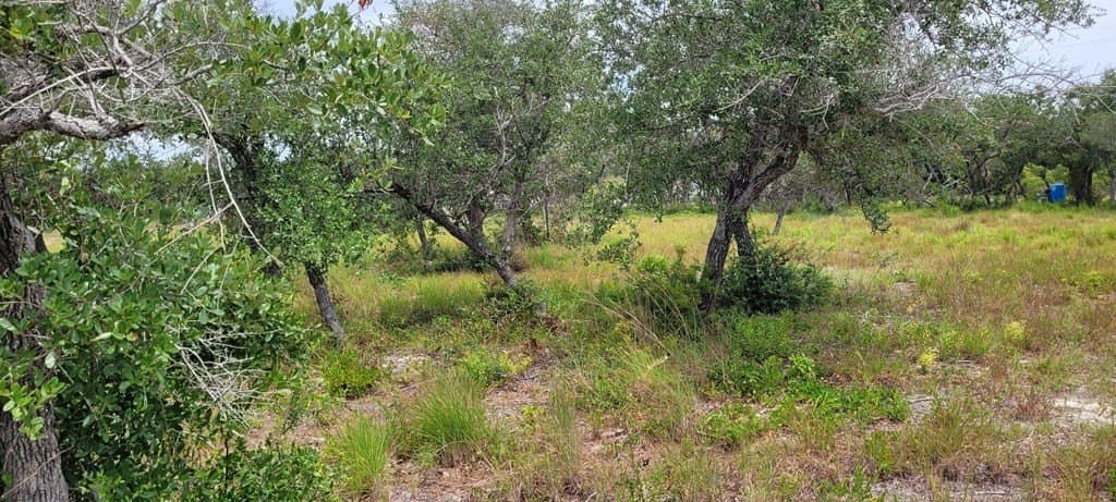 0 acres in Texas County gallery image 3