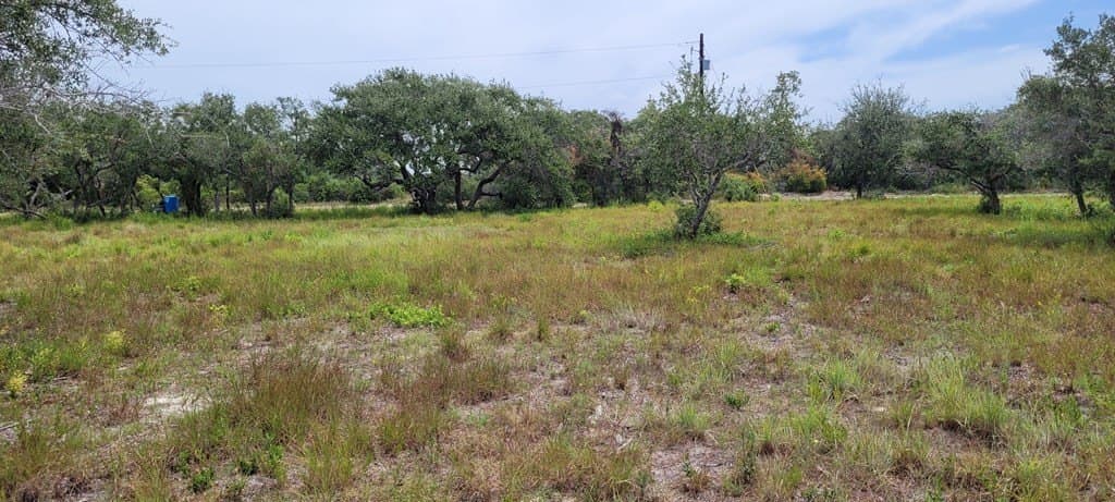 0 acres in Texas County gallery image 2