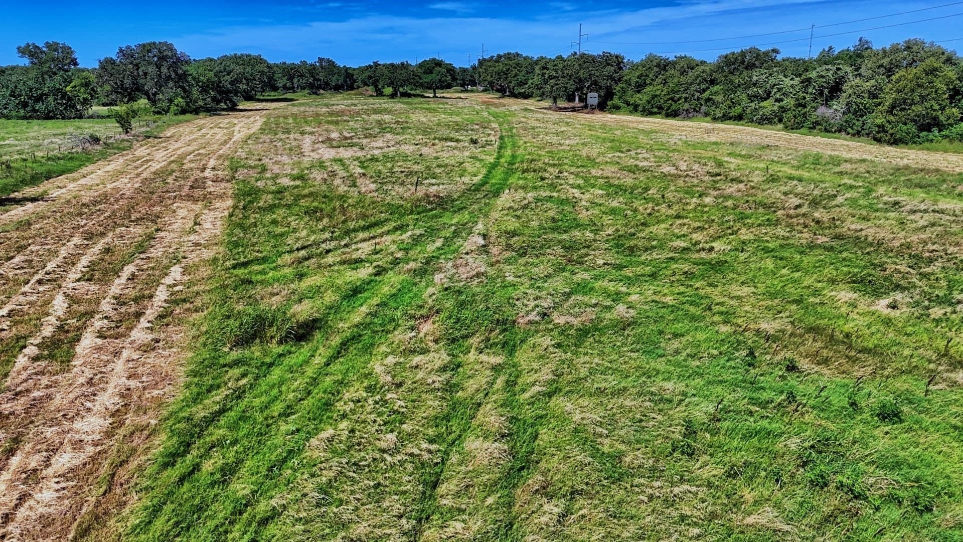 12.81 acres in Montague County - photo 31