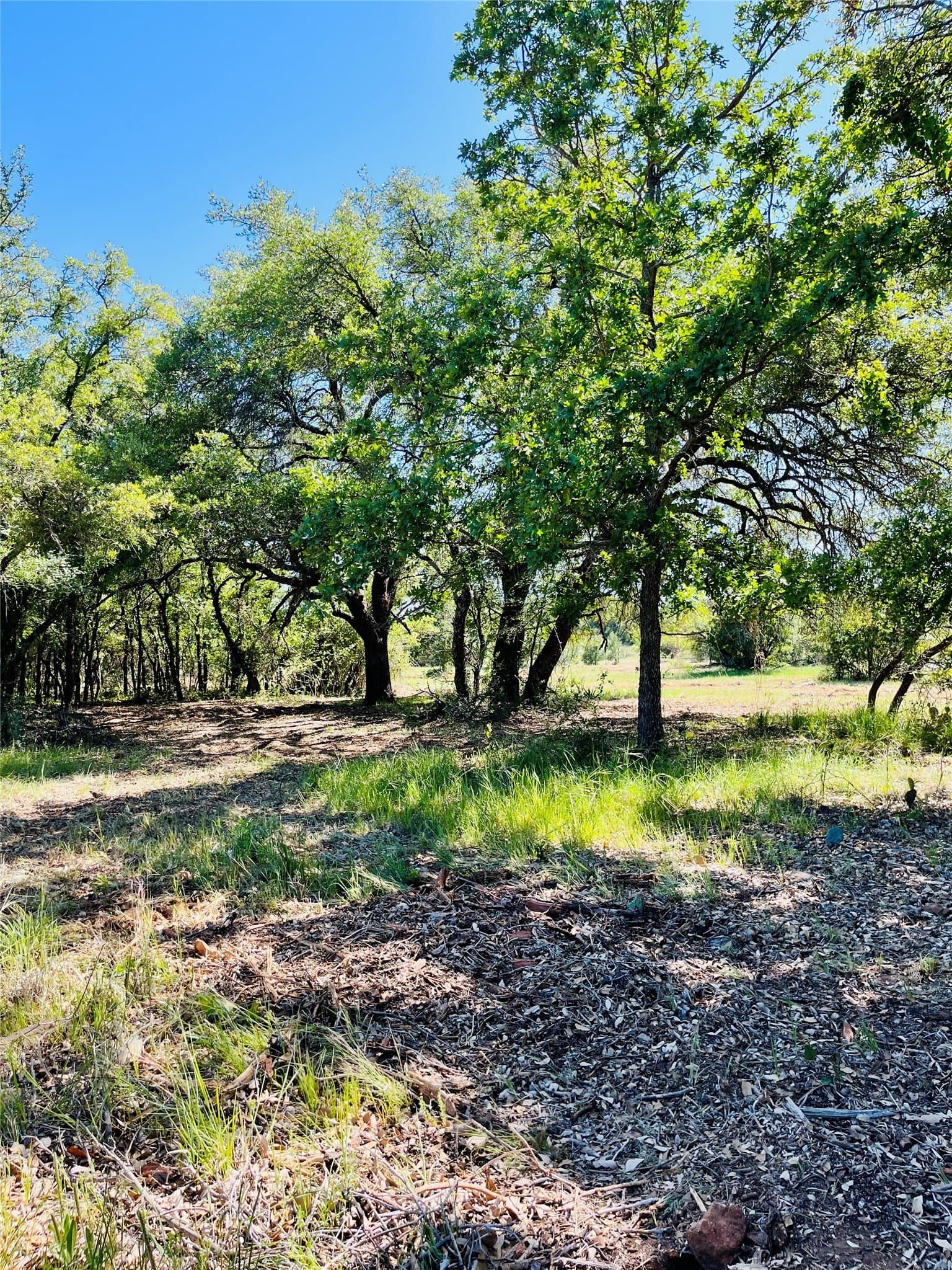 2.1 acres in Brown County - photo 10