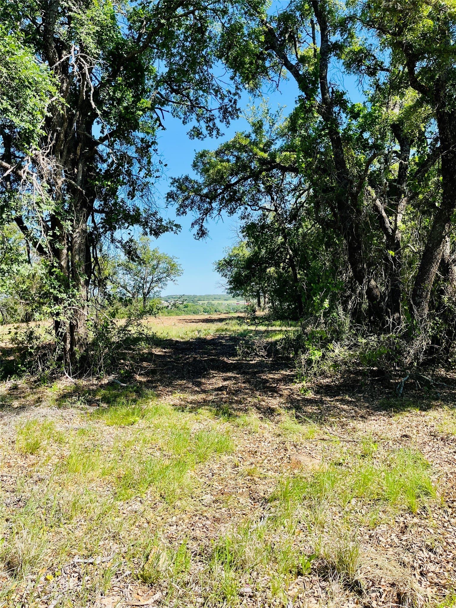 2.1 acres in Brown County - photo 8