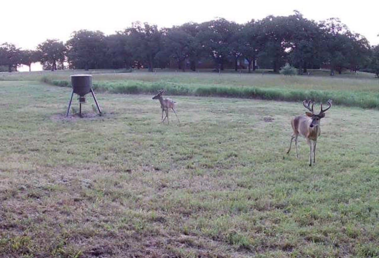 34.74 acres in Wise County - photo 33