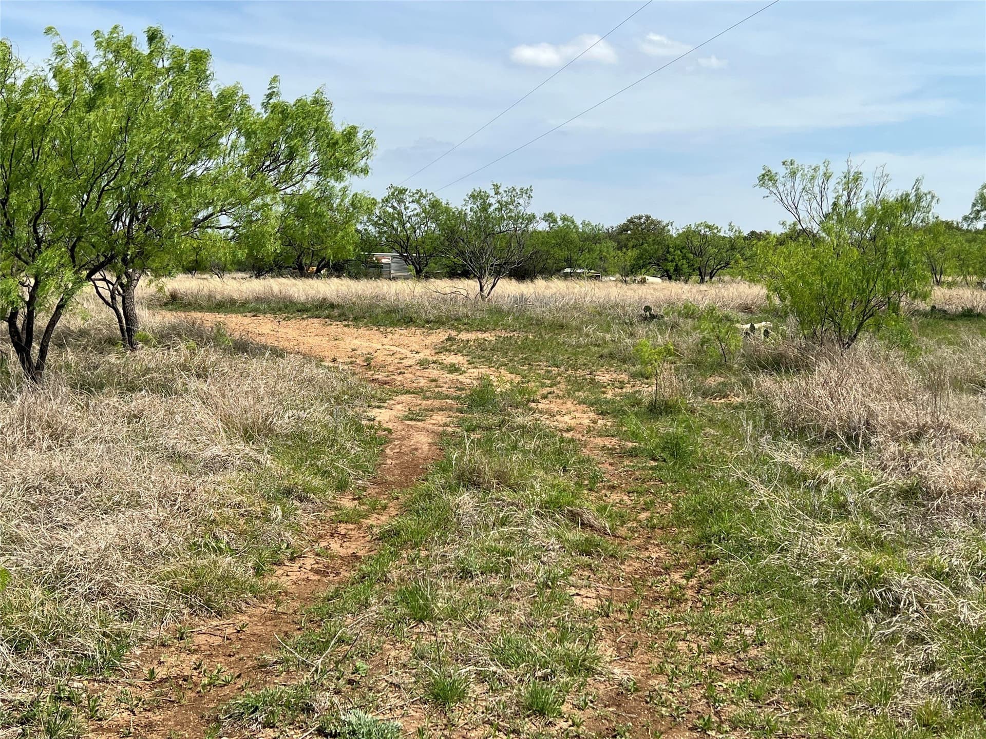 10.91 acres in Brown County gallery image 3