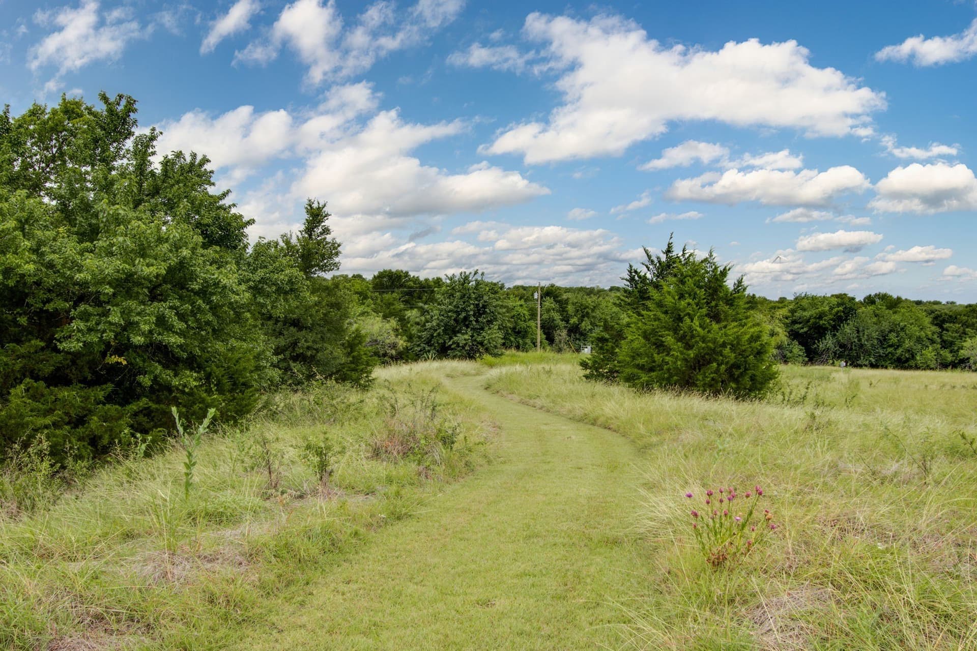 13.5 acres in Hill County - photo 10
