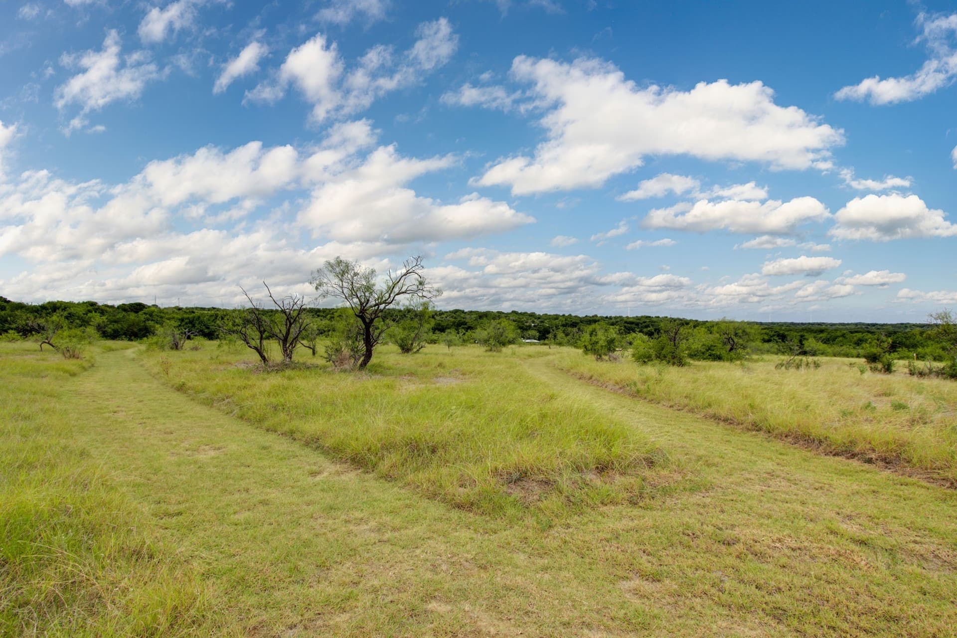 13.5 acres in Hill County - photo 8