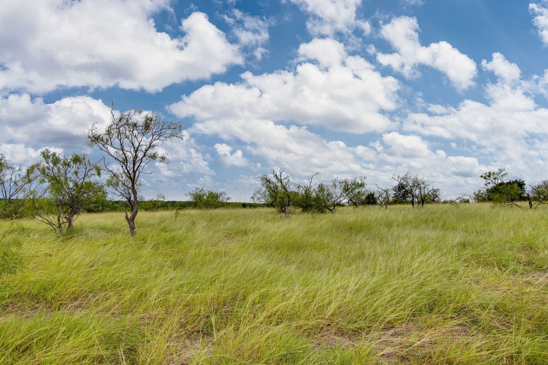 13.5 acres in Hill County - photo 9