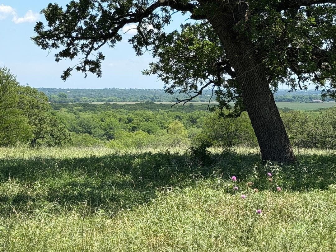 44.46 acres in Hill County - photo 20