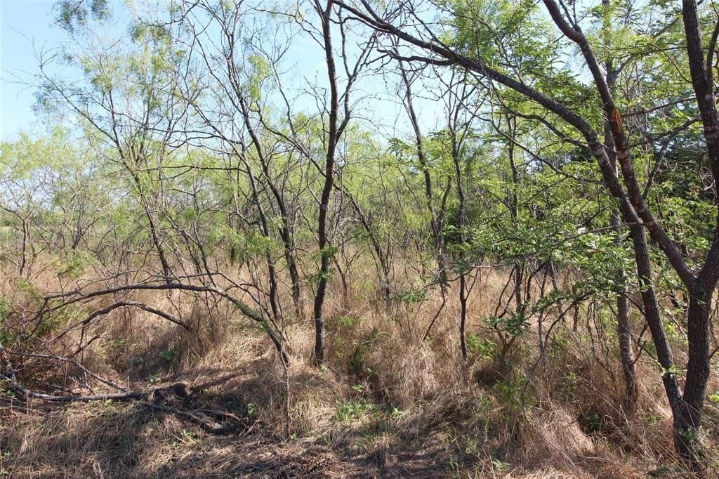 1.51 acres in Kaufman County gallery image 3