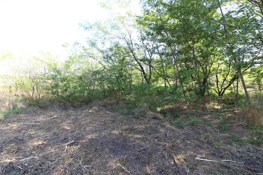 1.51 acres in Kaufman County gallery image 4