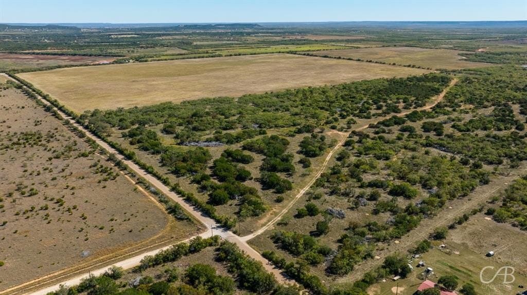 15 acres in Taylor County gallery image 2