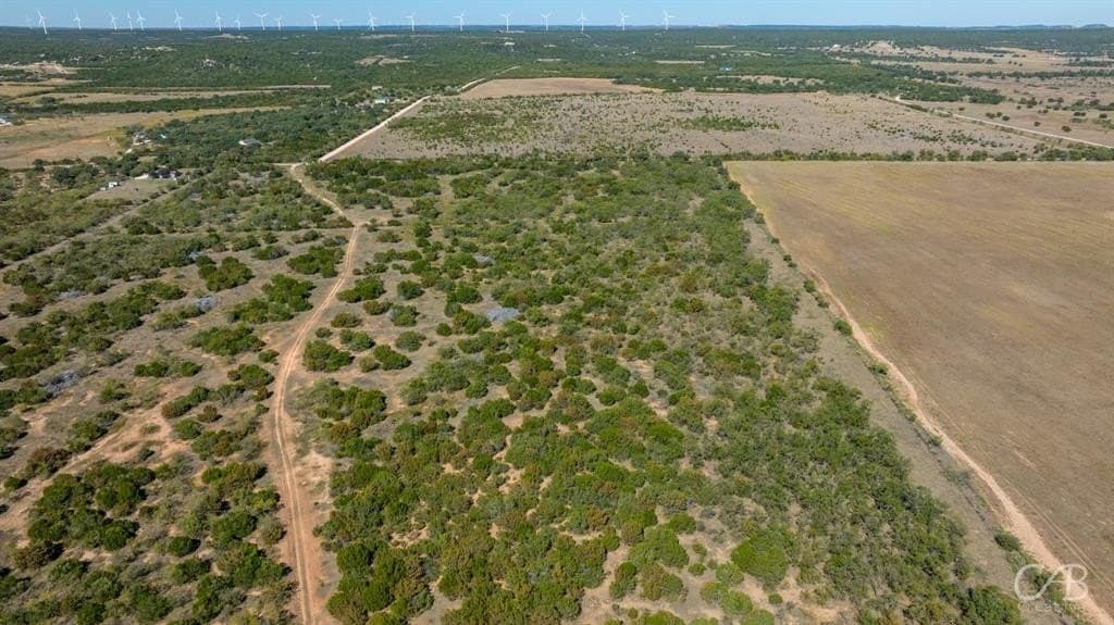 15 acres in Taylor County gallery image 3