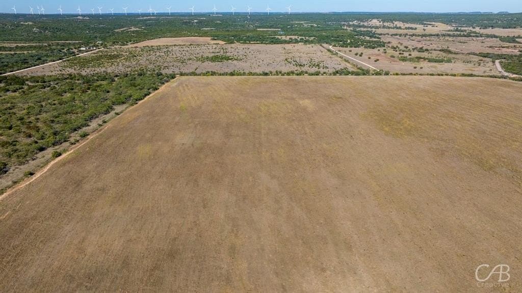 15 acres in Taylor County gallery image 4
