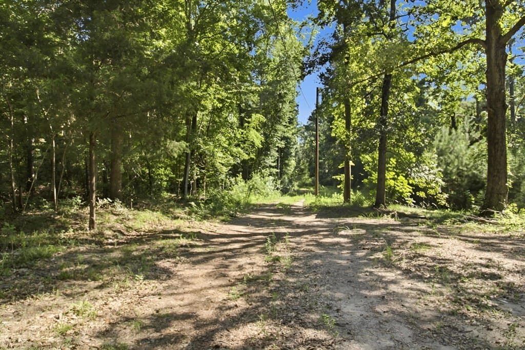 4.45 acres in Texas County gallery image 2