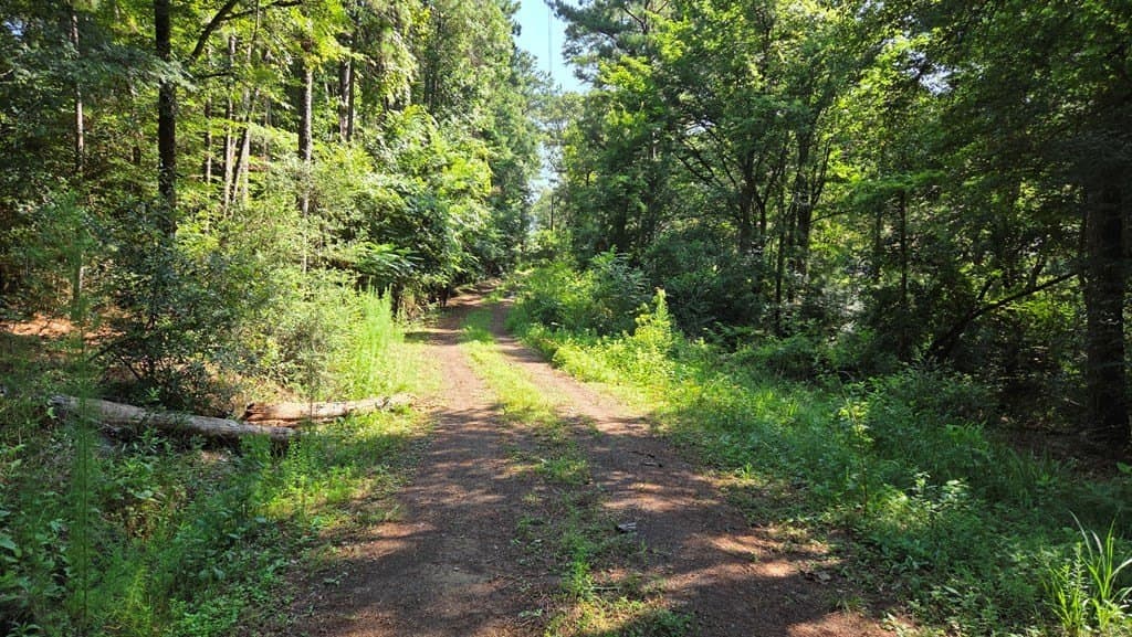 4.45 acres in Texas County - photo 6