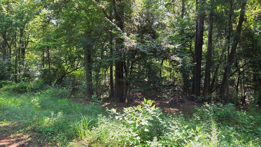 4.45 acres in Texas County - photo 7