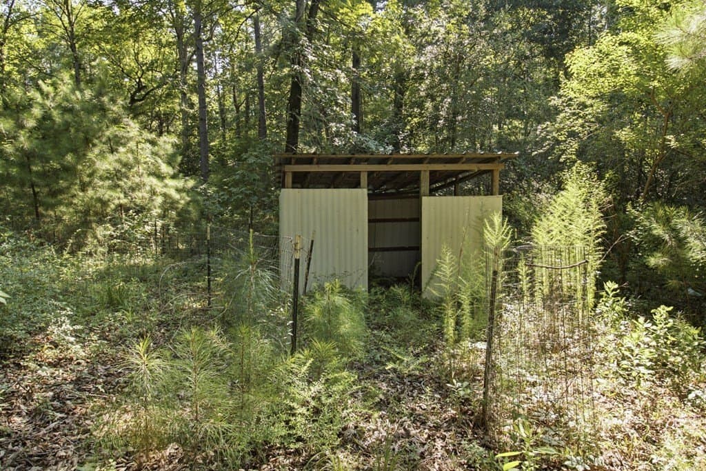4.45 acres in Texas County gallery image 4