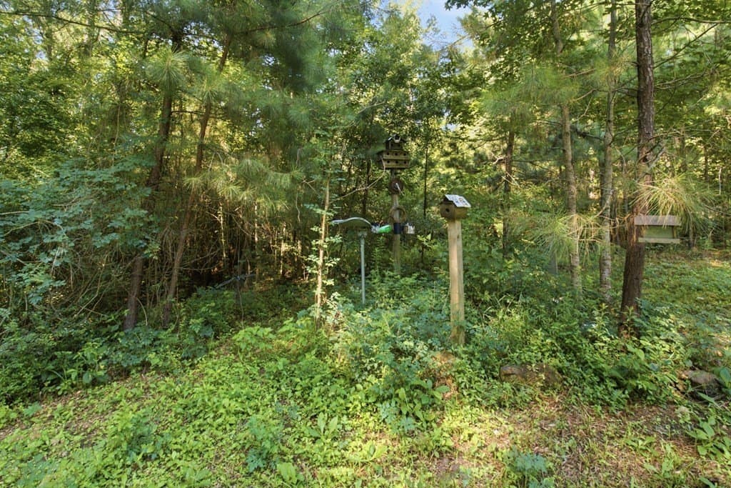 4.45 acres in Texas County featured view