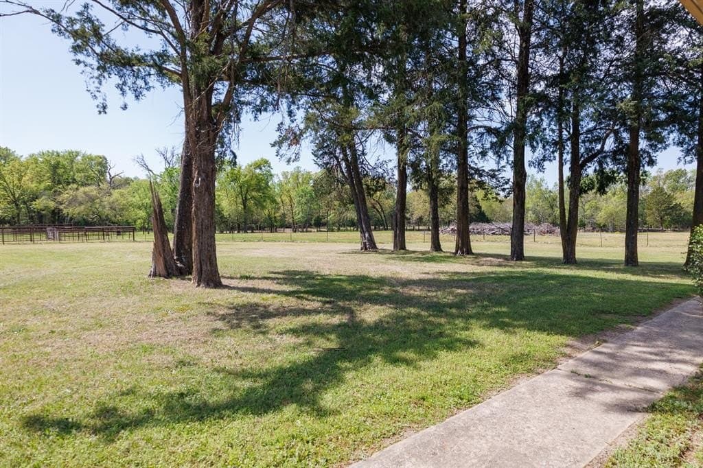 76.56 acres in Van Zandt County gallery image 2