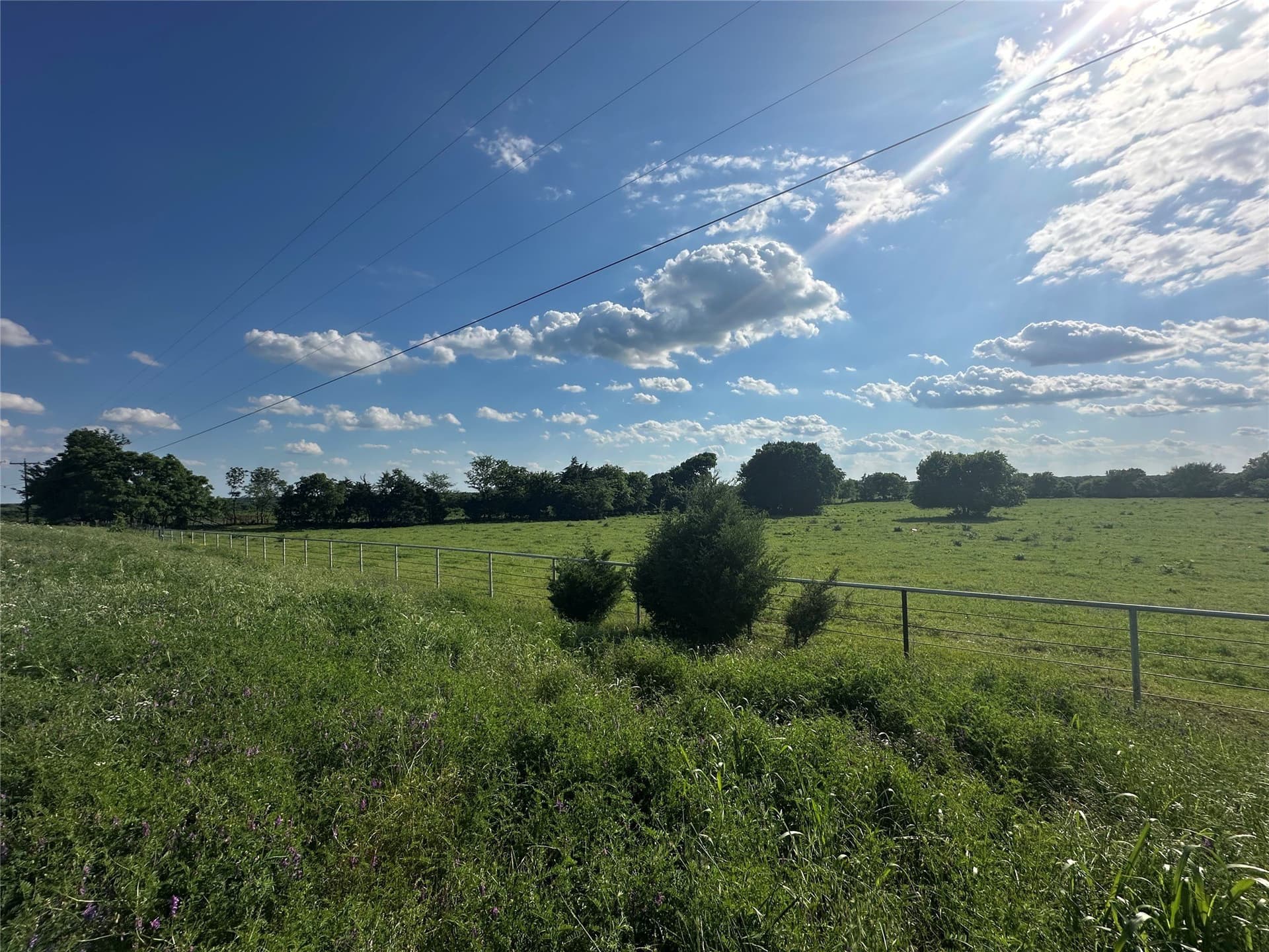 3.19 acres in Grayson County - photo 8